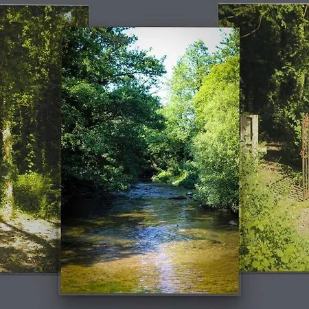 5* Self Catering 1 Bed