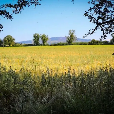 5* Self Catering 1 Bed