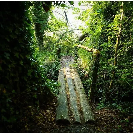 5* Self Catering 1 Bed * نيناغ