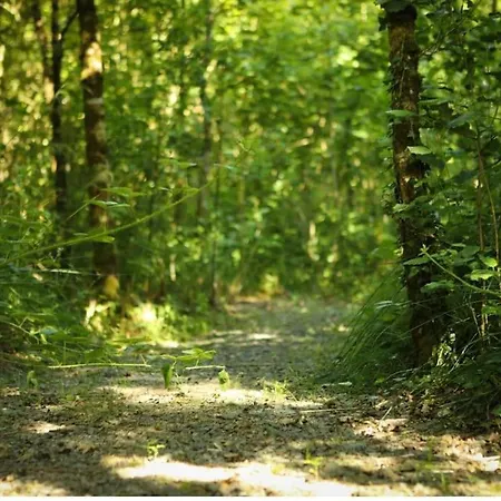 شقة 5* Self Catering 1 Bed