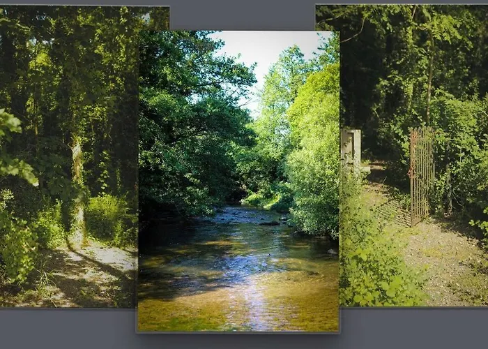 5* Self Catering 1 Bed