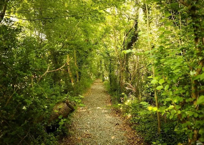 5* Self Catering 1 Bed Apartament Nenagh