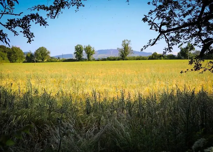 5* Self Catering 1 Bed