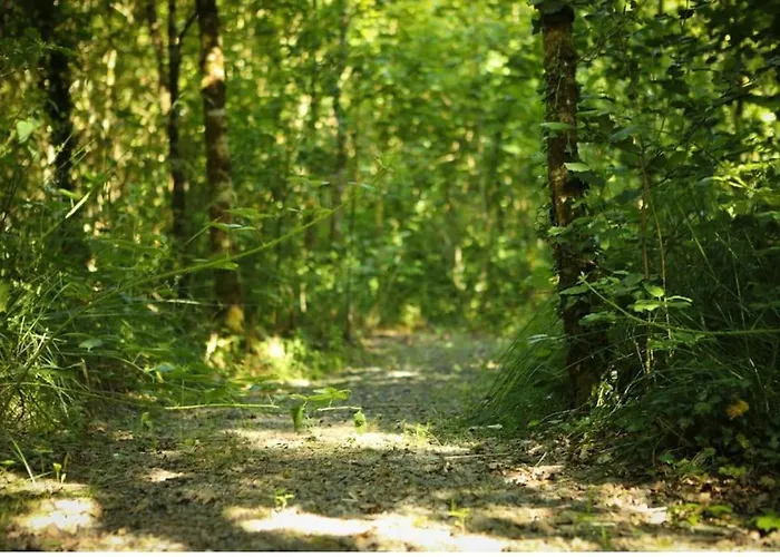 Apartamento 5* Self Catering 1 Bed